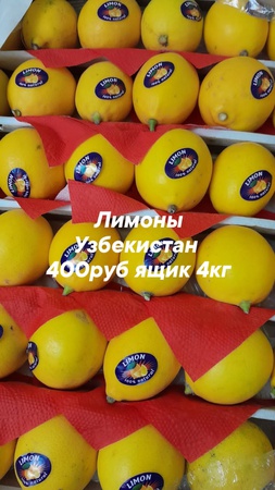 Оптом ягоды, фрукты и овощи