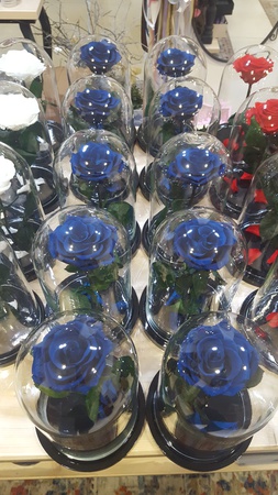 Роза в колбе 28см премиум синий