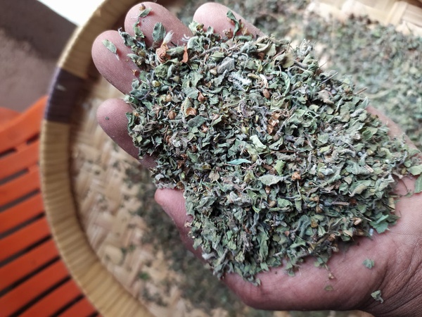 Tulsi Dry Leaves