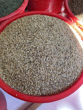 уцхо сунели (голубой пажитник)