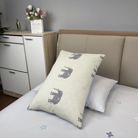 Комплект постельного белья Сатин 100% хлопок C649