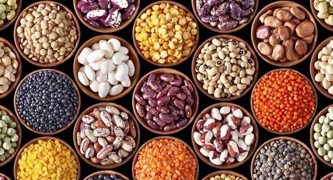 ВСЕ ВИДЫ ОРЕХОВ