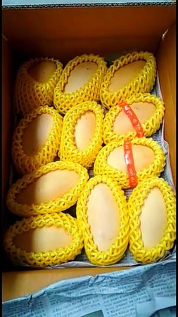 Манго Тайланда Нам Док Май