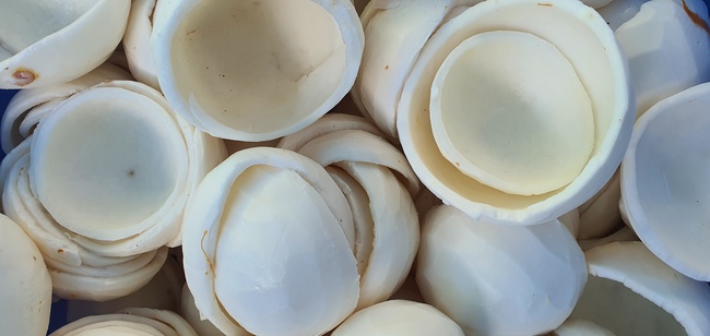 Сушеный Кокос. Сухофрукты с заводов OLMISH