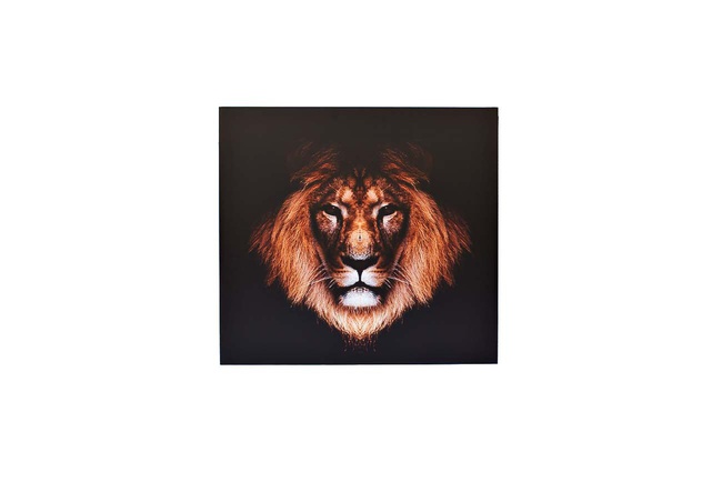 PANO DUVAR &quot;ASLAN&quot;