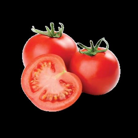 Onion - международная торговая компания