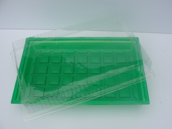 Büyük sera montajı