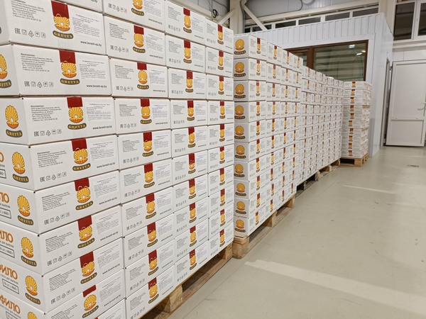 Тесто Фило GRETTA