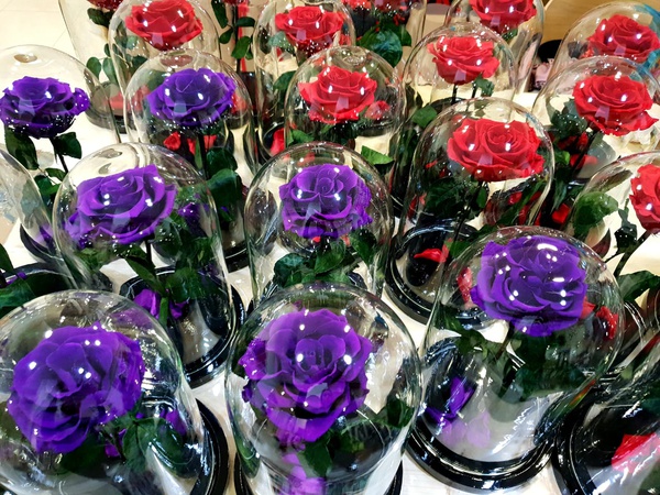 Роза в колбе оптом ассортимент