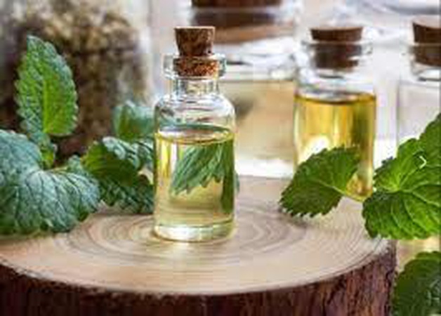 Масло Пало Санто