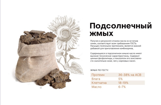 GOST&#39;a göre ayçiçeği keki