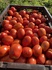 Томат сливка,  качество отличное от производителя