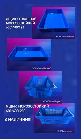 Delikli veya deliksiz, donmaya dayanıklı, gıdaya uygun plastik kutu