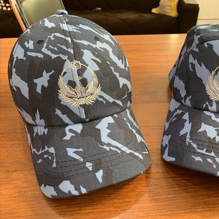 Кепка с логотипом