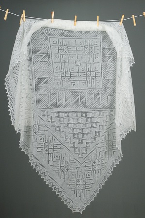 Ajur tüylü örümcek ağı A 120