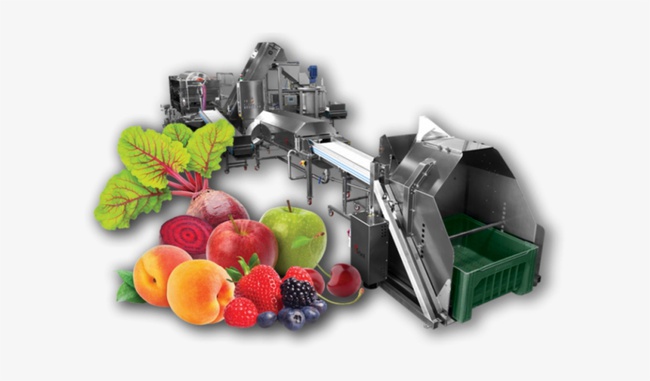 Линия по переработке свежих яблок