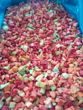 bell pepper fresh / frozen / dried