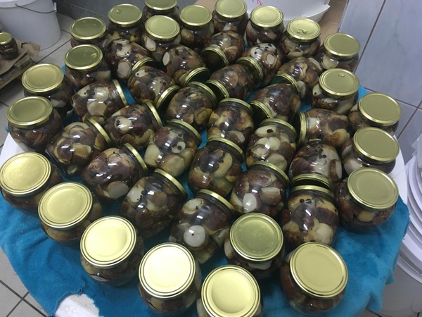 Белые грибы боровики Сибирские в маринаде (ХМАО-ЮГРА)