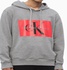 Худи и свитшоты Calvin Klein