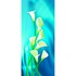Calla Lilien / 1 Seite