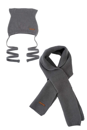 Комплект из шапки с ушками и шарфа