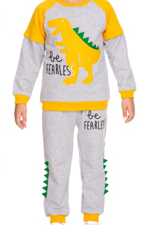 Костюм для мальчиков с вышивкой динозавров 2/9 лет, серия из 4 предметов