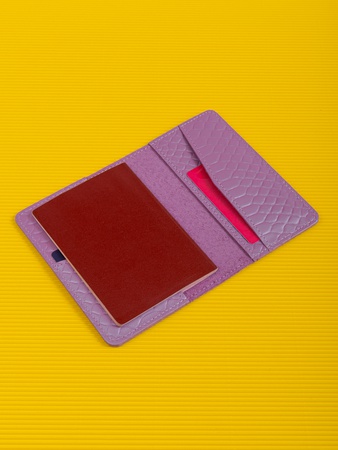 Обложка на паспорт ПТ-51