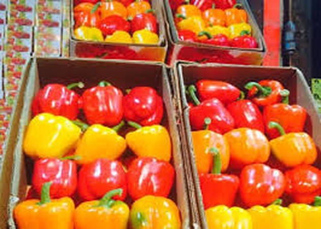 шафран / финики / болгарский перец / мед / газированная вода / соки