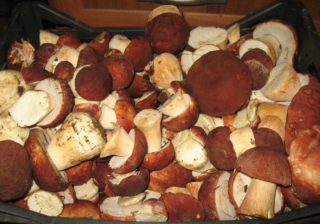 Белые грибы боровики Сибирские в маринаде (ХМАО-ЮГРА)