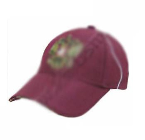 Embroidery machine AURORA CTF1201