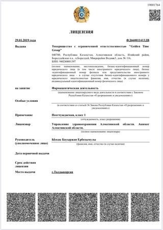 Антисептическая жидкость в канистре HalykProtect 5000 ml (антисептик, санитайзер)