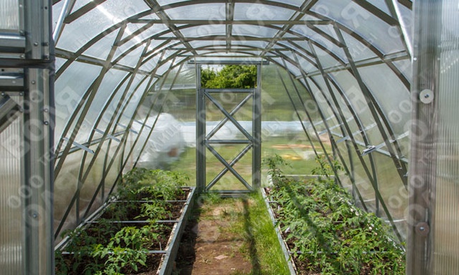 Теплица "Дачная-Оптима"