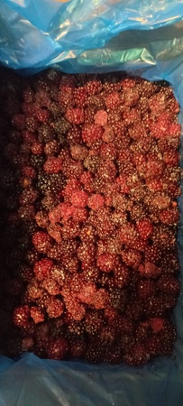 Замороженная ежевика