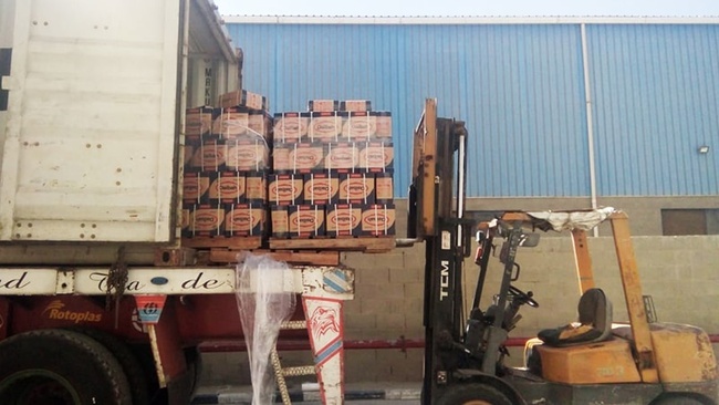 Long pasta, 250 gm, Egyptian spaghetti, For all Markets