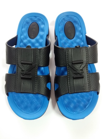 Slippers for men &quot;Two-color eagle&quot;