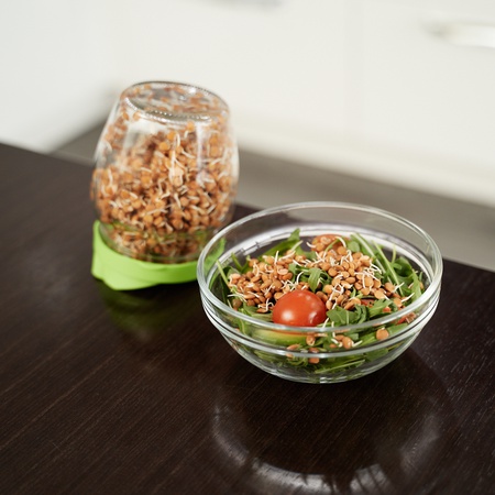 Проращиватель «Здоровья КЛАД» (Крышка-сито)