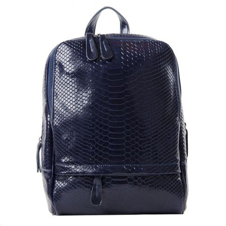 519 Рептилия