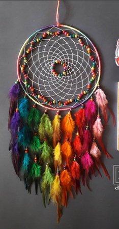 ЦВЕТНОЙ ЛОВЕЦ МЕЧТЫ