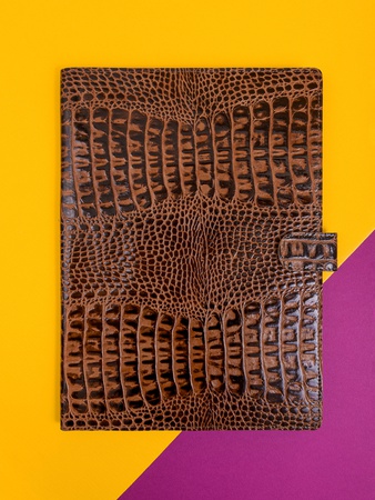 Папка органайзер для документов, семейные документы ПДК-412+