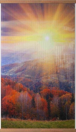 Елена  Денисова