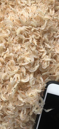 روبيان صغير مجفف بالجملة المأكولات البحرية المجففة روبيان صغير ، روبيان صغير مملح ، روبيان