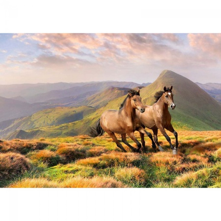 Дети ветра/4 листа