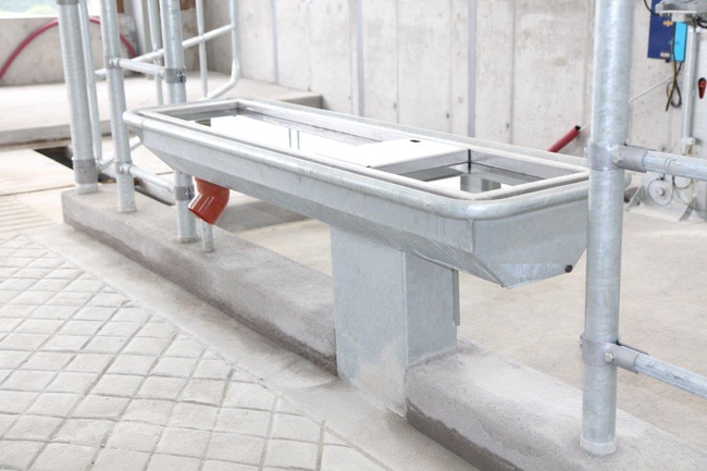 Group heated cattle drinker