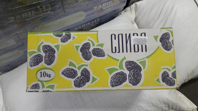 Чернослив / Prunes