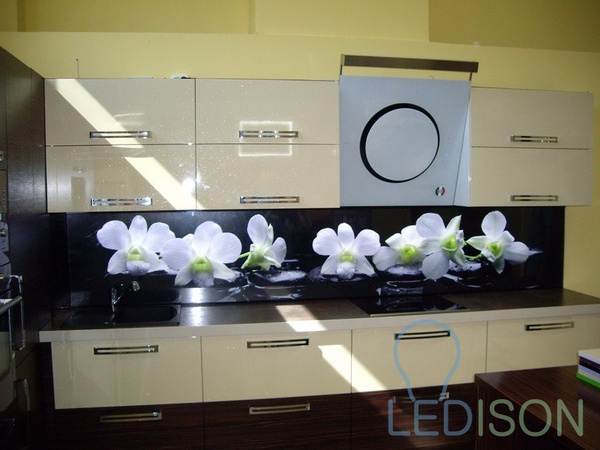 Кухонные фартуки