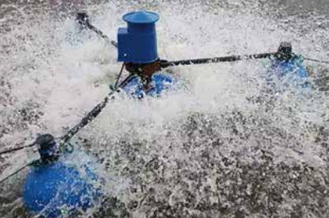 Floating ball aerator