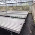 Agricultural greenhouse hydroponic system for growing strawberries and more