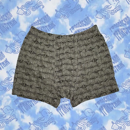 Трусы мужские 02-12004