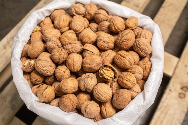 Walnut in shell 36+ - Chile