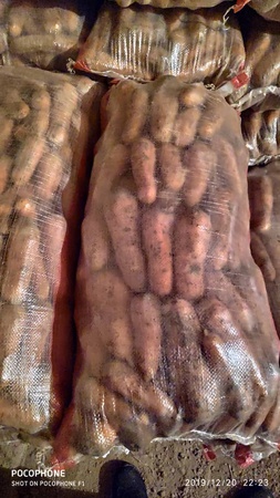 Üreticiden sebze ve meyveler (mevsime göre)